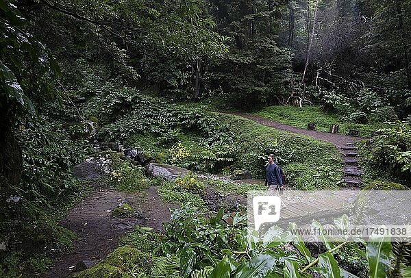 Hiking trail through jungle-like forest to the Salto do Prego waterfall  Faial da Terra  Sao Miguel Island  Azores  Portugal  Europe