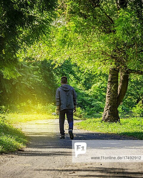 Latin man walking on a nice road  rear view of a young man walking on a road surrounded by trees