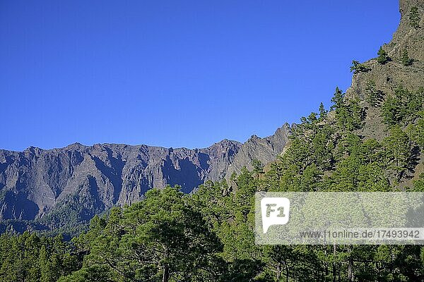 Felsszenerie der Caldera Taburiente vom Mirador de la Cumbrecita aus gesehen  La Palma  Spanien  Europa