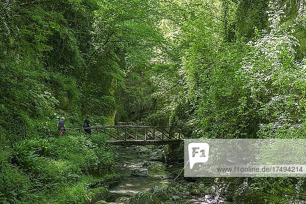 Bridge of the hiking trail through the canyon of the Orfento river  Caramanico Terme  province of Pescara  Italy  Europe