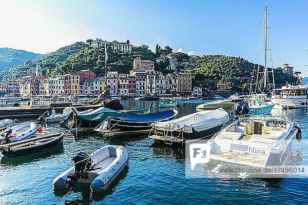 Boats anchor in the harbour of Portofino  behind them pastel-coloured house facades  Portofino  Liguria  Italy  Europe