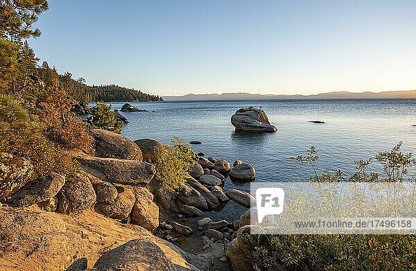 Bonsai Rock  small tree on a rock in the water  round stones in the water  shore at Lake Tahoe in the evening light  Sand Harbor Beach  Sand Harbor State Park  California  USA  North America