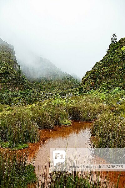 Mooslandschaft mit orangen eisenhaltigen Wasser  Vale das Lombadas  Serra de Aqua de Pau  Insel Sao Miguel  Azoren  Portugal  Europa
