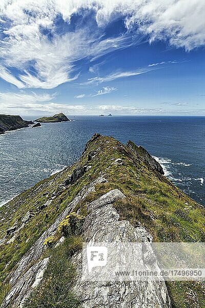 Steilküste mit Blick auf die Skellig Inseln am Horizont  Kerry Cliffs  Panoramastraße Skellig Ring  Portmagee  Halbinsel Iveragh  Kerry  Irland  Europa