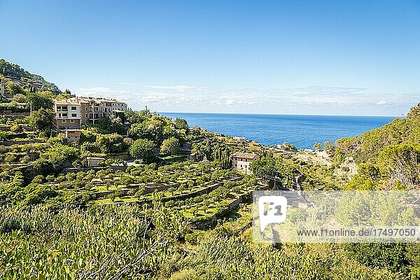 Blick auf Dorf Banyabulfar  hinten Mittelmeer  Mallorca  Spanien  Europa