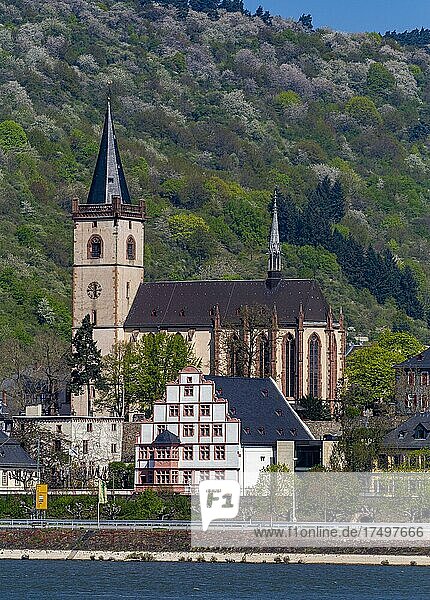 Häuser und Kirchen am Rhein in Assmannshausen  Hessen  Deutschland  Europa