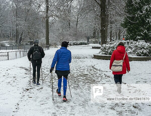 Recreational athletes in the wintery snow-covered Tiergarten  Berlin  Germany  Europe