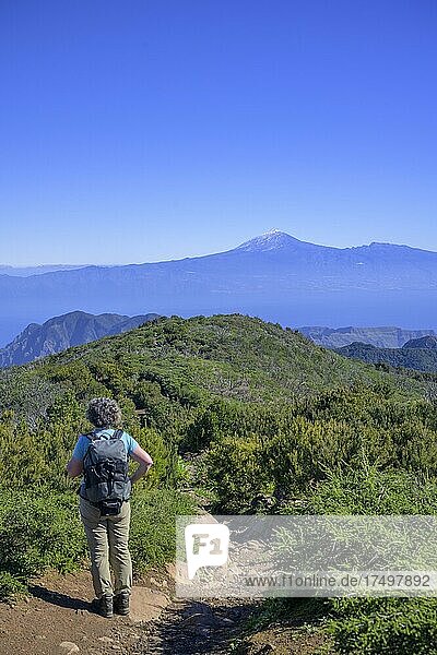 Hiking to the summit of Garajonay with Teide in the background  Alajeró  La Gomera  Spain  Europe