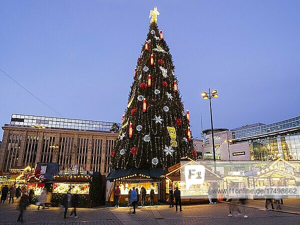 The largest Christmas tree in the world at the Dortmund Christmas Market  Blue Hour  Dortmund  Ruhr Area  North Rhine-Westphalia  Germany  Europe