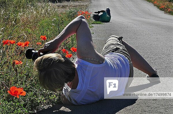 Women lying on the ground photographing poppies  lying photographer  close up  photographing from below  frog perspective