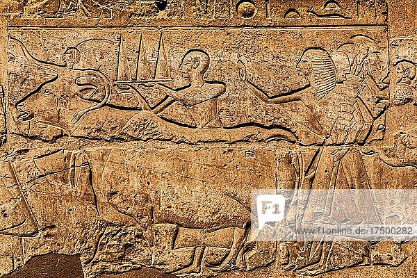 Prozession der Söhne von Ramses II. im Großen Hof  Luxor-Tempel  Theben  Ägypten  Luxor  Theben  Ägypten  Afrika