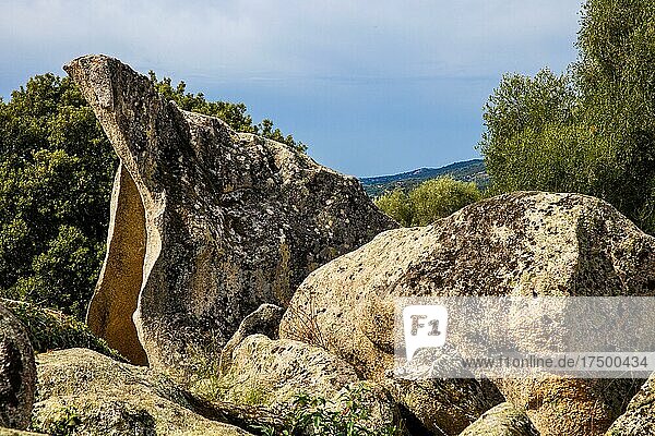 Steinbruch zur Herstellung der Menhir-Statuen  archäologischen Fundstätte Filitosa  Korsika  Filitosa  Korsika  Frankreich  Europa