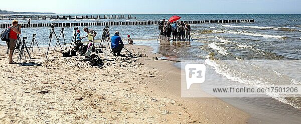 Fotoworkshop für Hobby Fotografen am Strand der Ostsee  Zingst  Mecklenburg-Vorpommern  Deutschland  Europa