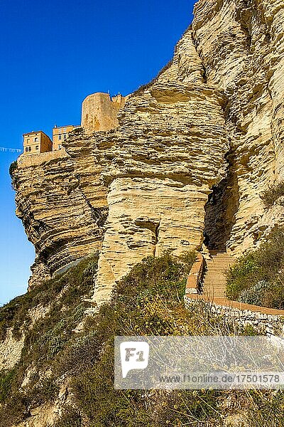 Steilküste von Bonifacio mit Altstadt auf einem Kalkplateau  Korsika  Bonifacio  Korsika  Frankreich  Europa