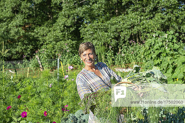 Frau sammelt Gemüse auf Biobauernhof