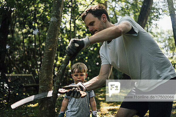 Son looking at father cutting branch of tree