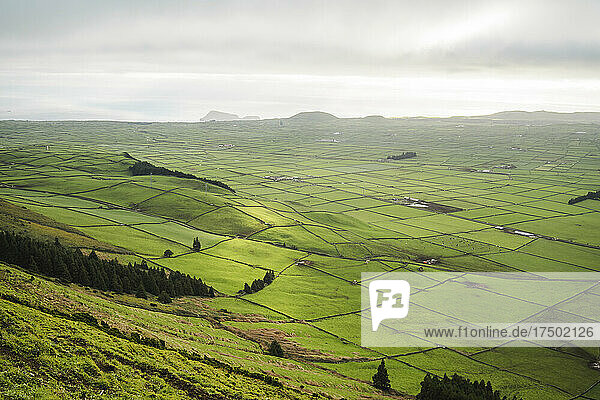 Scenic view of green agricultural field at Terceira Island  Azores  Portugal