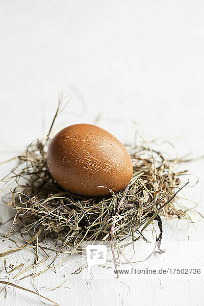 Studio shot of single chicken egg lying on hay against white background