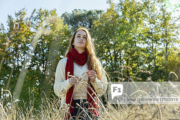 Thoughtful woman with red scarf standing amidst grass on sunny day