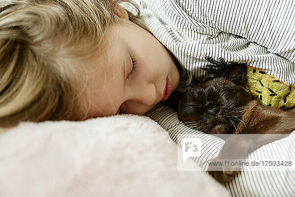 Cute girl sleeping with Burmese cat on bed at home