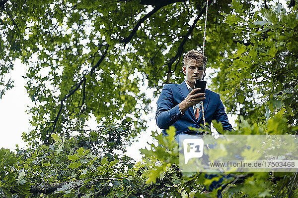 Serious businessman using smart phone sitting on tree branch with rope