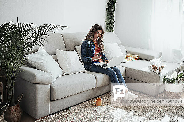 Smiling woman with smart phone using laptop on sofa