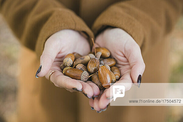 Woman with hands cupped holding acorns in park