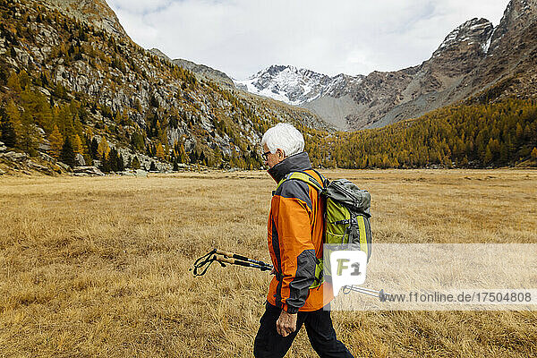 Senior backpacker with poles hiking on grass