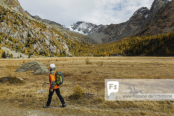 Senior tourist with pole hiking on mountain at Rhaetian Alps  Italy