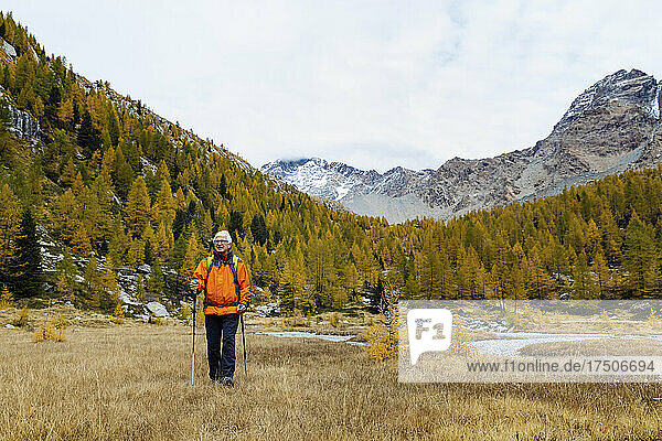 Hiker with poles on grass at Rhaetian Alps  Italy