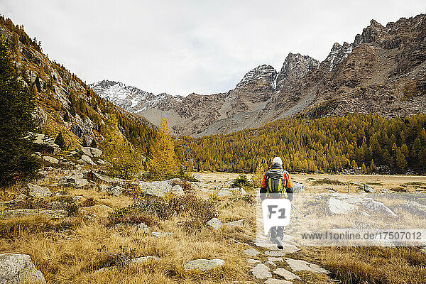 Senior tourist hiking amidst grass at Rhaetian Alps  Italy
