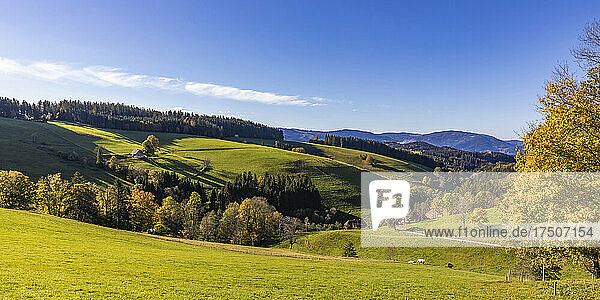 Panorama of Black Forest range in autumn