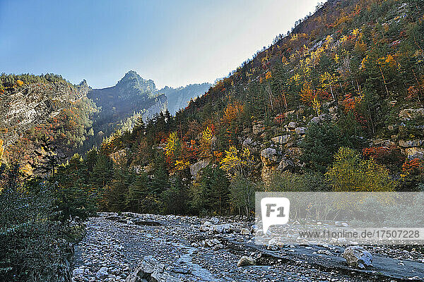 Forested valley in Caucasus Mountains at autumn dawn