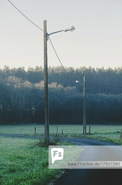 Telephone poles along empty rural road