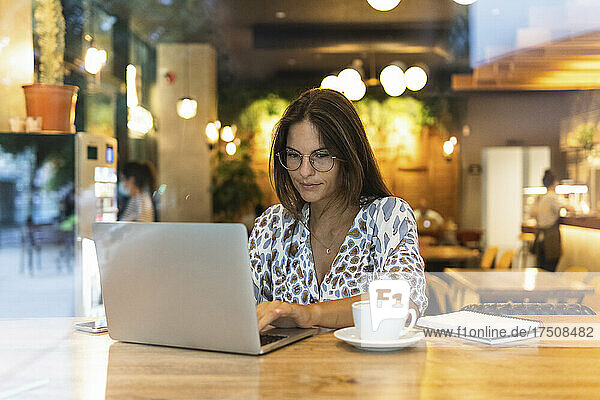 Young freelancer working on laptop in cafe