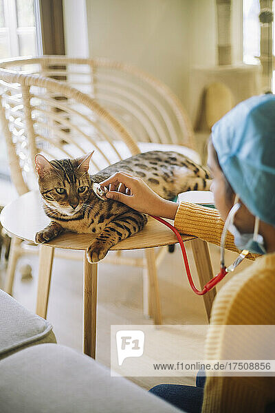 Tierärztin prüft Herzschlag der Katze mit Stethoskop zu Hause