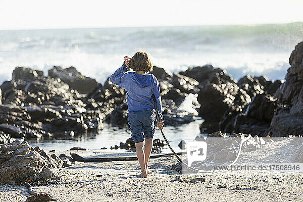 Boy playing on a rocky beach  holding a long kelp seaweed strand