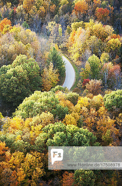 Road running through autumn forest seen from above.