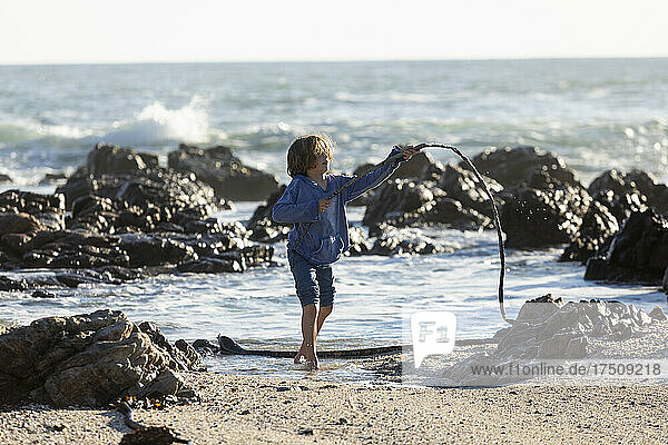 Junge spielt an einem felsigen Strand und hält einen langen Seetangstrang in der Hand