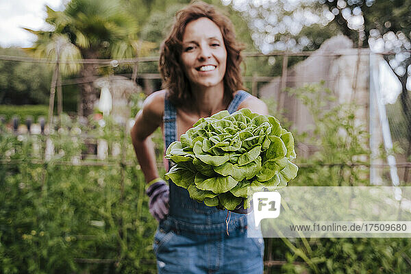 Smiling mid adult woman holding lettuce while standing in vegetable garden