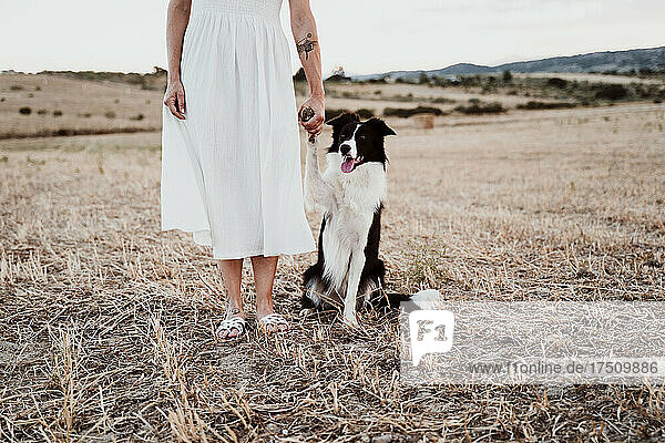 Woman with dog in field during sunset