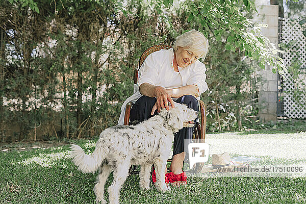 Smiling senior woman playing with dog while sitting on chair in yard