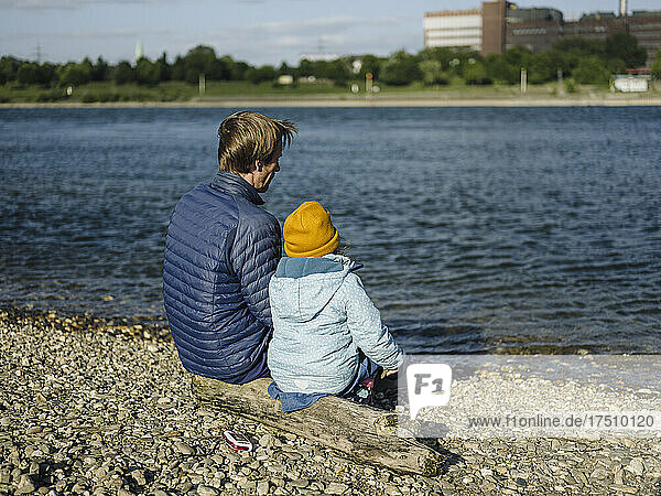 Father and daughter looking at Rhine river while sitting on log during sunny day