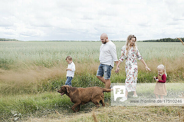 Family with Chocolate Labrador walking amidst oats field against sky