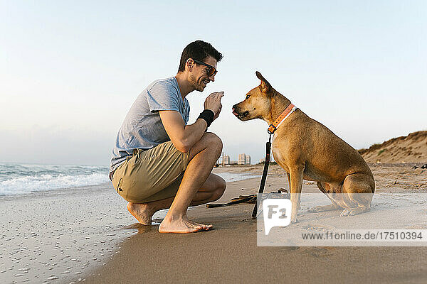 Man spending leisure time with his dog at beach