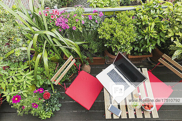 Laptop lying on balcony table surrounded by various summer herbs and flowers