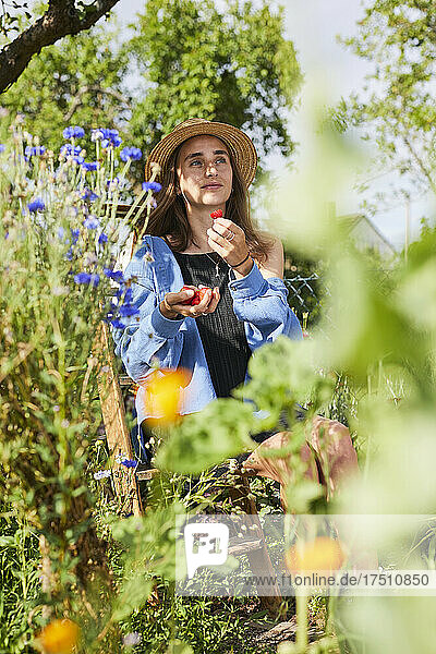 Nachdenkliche junge Frau hält Erdbeeren in der Hand  während sie im Garten sitzt