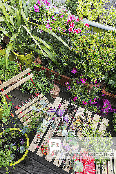 Plants and vegetables over table in garden