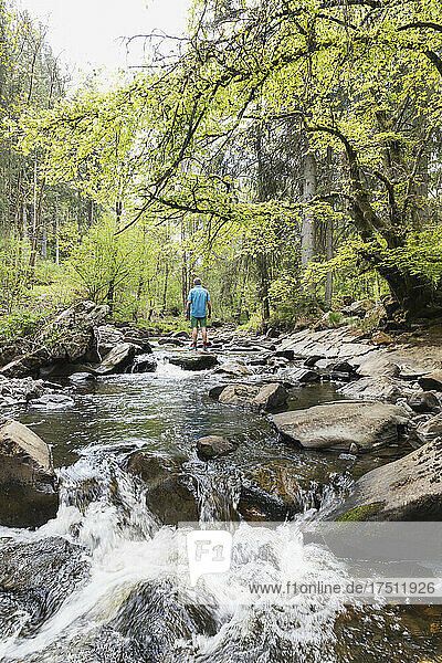 Senior man standing on rock in middle of Rur river flowing through High Fens - Eifel Nature Park in spring