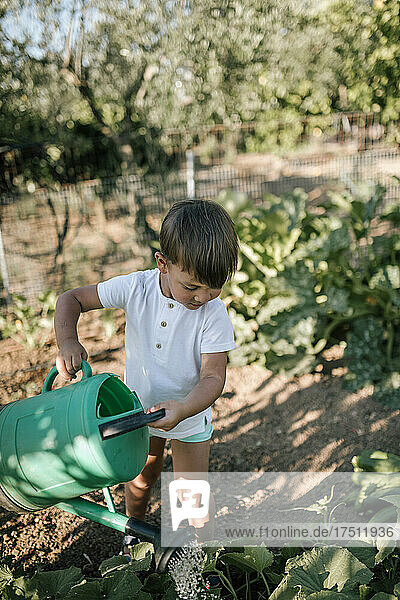 Cute boy watering plant in farm with can